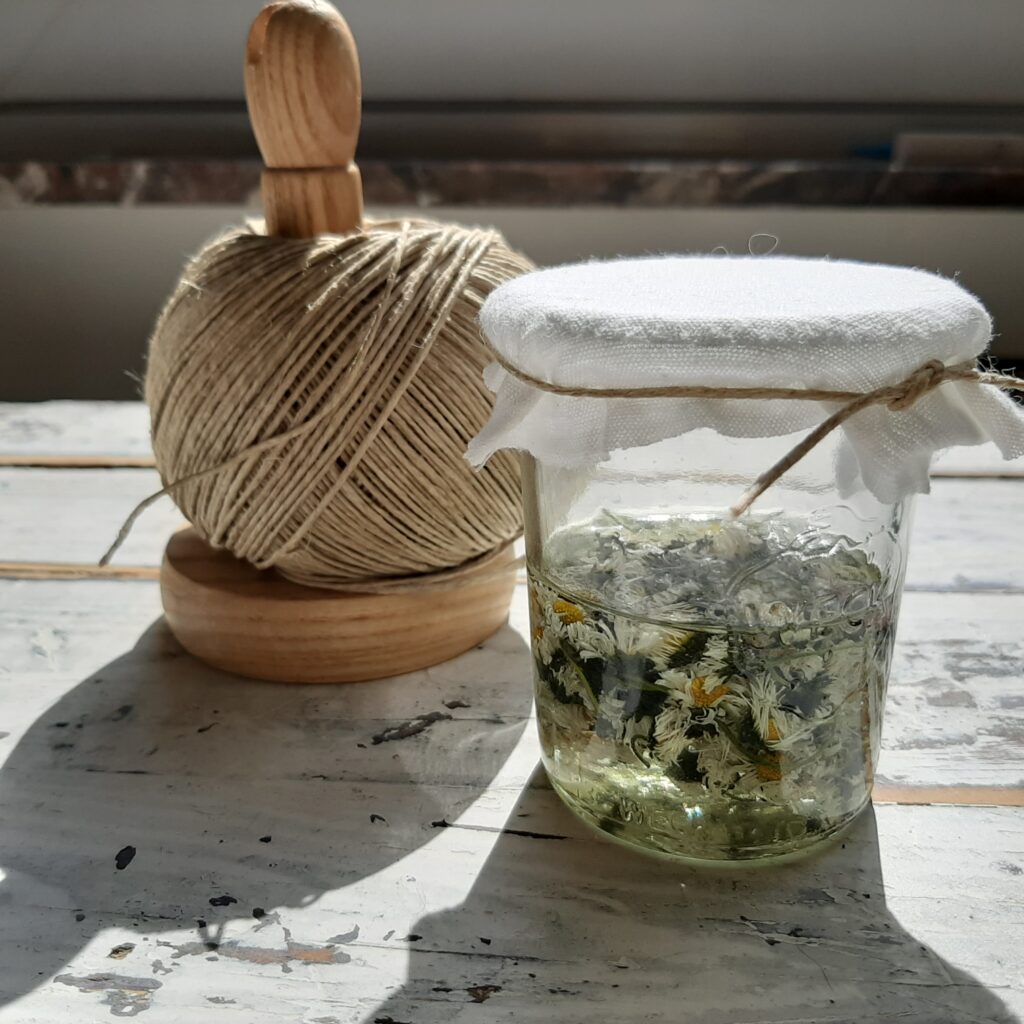 La Potion de Printemps – Tisane, macérât & onguent 🌼