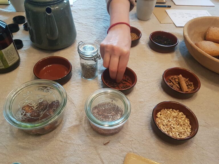 atelier herboristerie mons