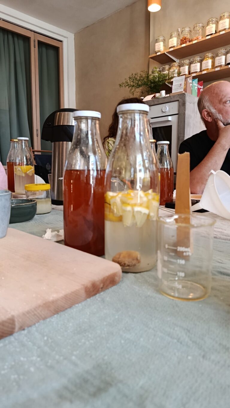 Atelier lacto fermentation
