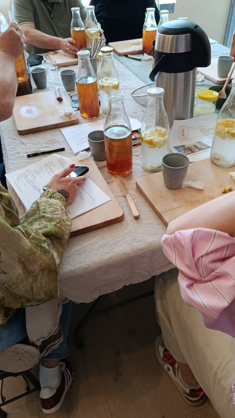 Atelier lacto fermentation